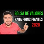 bolsa de valores para principiantes